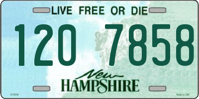 NH license plate 1207858
