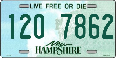 NH license plate 1207862