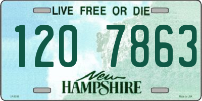NH license plate 1207863