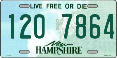 NH license plate 1207864