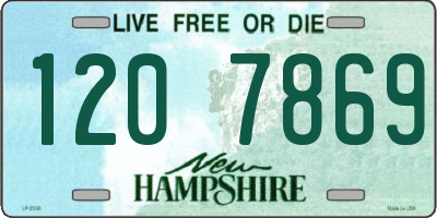 NH license plate 1207869