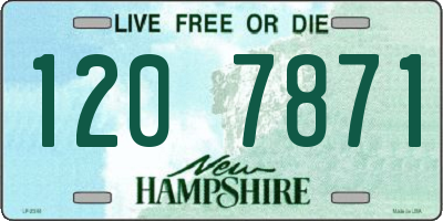 NH license plate 1207871