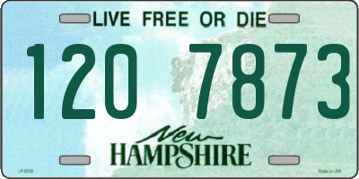 NH license plate 1207873