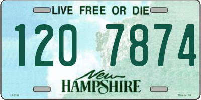 NH license plate 1207874