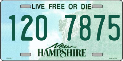 NH license plate 1207875