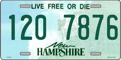 NH license plate 1207876