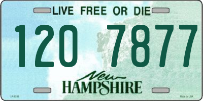 NH license plate 1207877