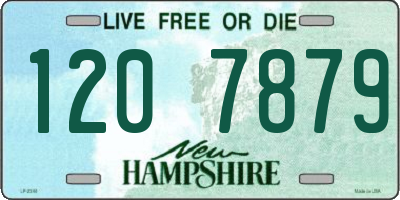 NH license plate 1207879