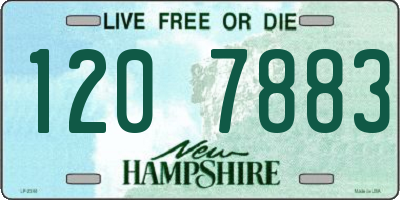 NH license plate 1207883