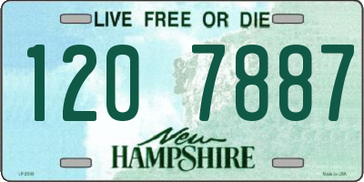 NH license plate 1207887