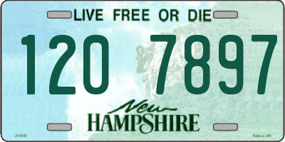 NH license plate 1207897
