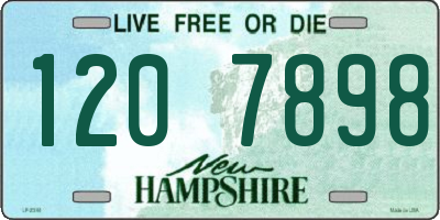 NH license plate 1207898
