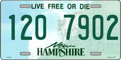 NH license plate 1207902