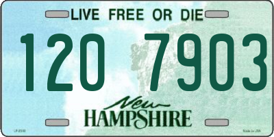 NH license plate 1207903
