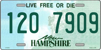NH license plate 1207909
