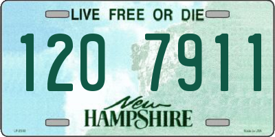 NH license plate 1207911
