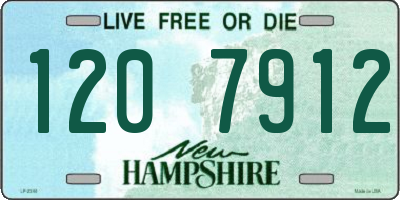 NH license plate 1207912