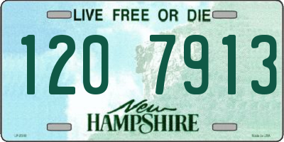 NH license plate 1207913