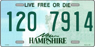 NH license plate 1207914