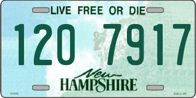 NH license plate 1207917