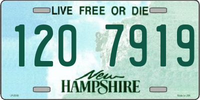 NH license plate 1207919