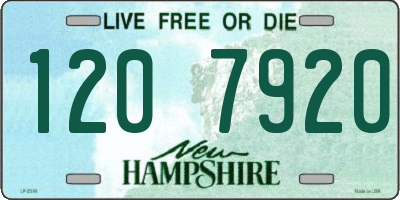 NH license plate 1207920