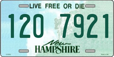 NH license plate 1207921