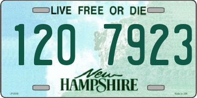 NH license plate 1207923