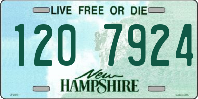 NH license plate 1207924