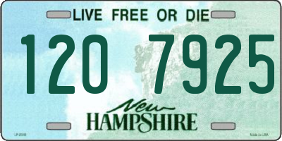 NH license plate 1207925