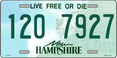 NH license plate 1207927
