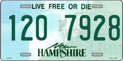 NH license plate 1207928
