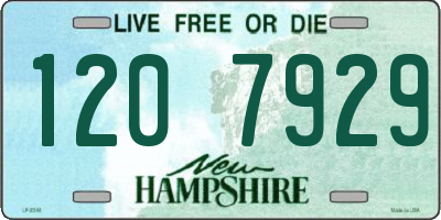 NH license plate 1207929