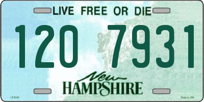 NH license plate 1207931