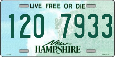 NH license plate 1207933