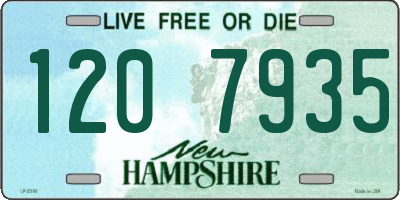 NH license plate 1207935
