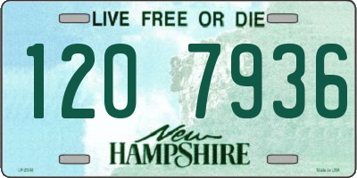 NH license plate 1207936