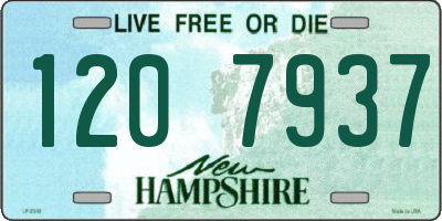 NH license plate 1207937