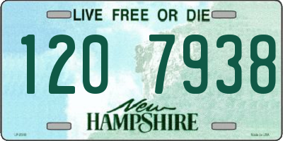 NH license plate 1207938