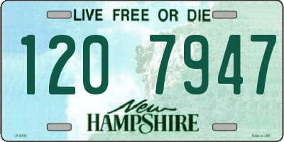 NH license plate 1207947