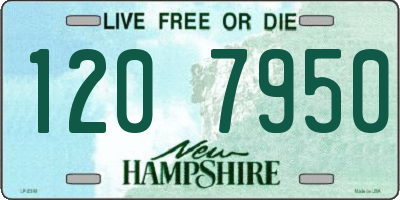NH license plate 1207950