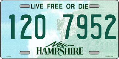 NH license plate 1207952