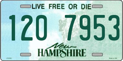 NH license plate 1207953