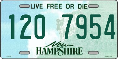 NH license plate 1207954