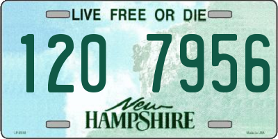 NH license plate 1207956
