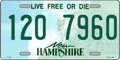 NH license plate 1207960