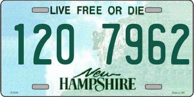 NH license plate 1207962