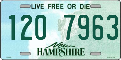 NH license plate 1207963