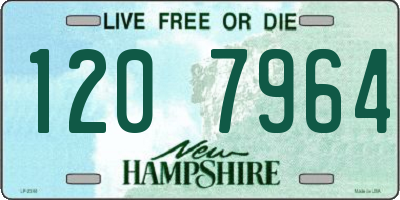 NH license plate 1207964