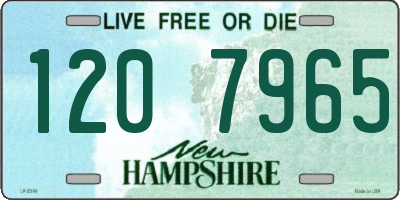 NH license plate 1207965